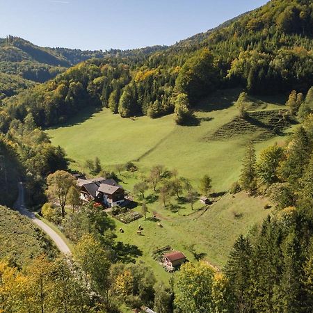 Urlaub Mitten Im Wald - Lueg Scheibbs Exteriér fotografie