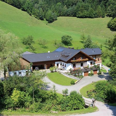 Urlaub Mitten Im Wald - Lueg Scheibbs Exteriér fotografie
