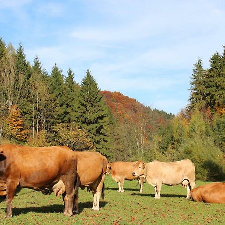 Urlaub Mitten Im Wald - Lueg Scheibbs Exteriér fotografie
