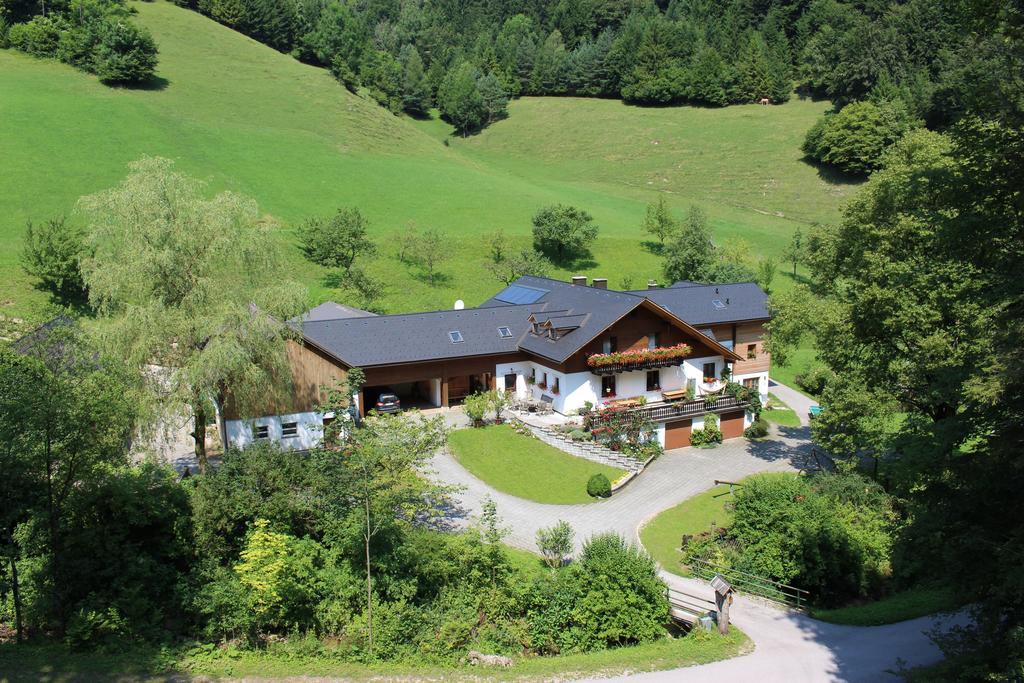 Urlaub Mitten Im Wald - Lueg Scheibbs Exteriér fotografie