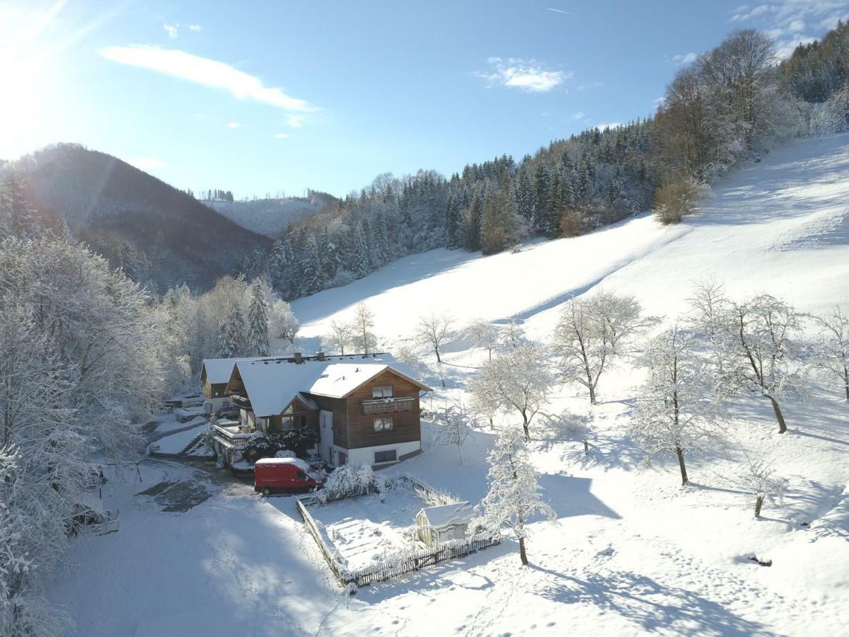 Urlaub Mitten Im Wald - Lueg Scheibbs Exteriér fotografie
