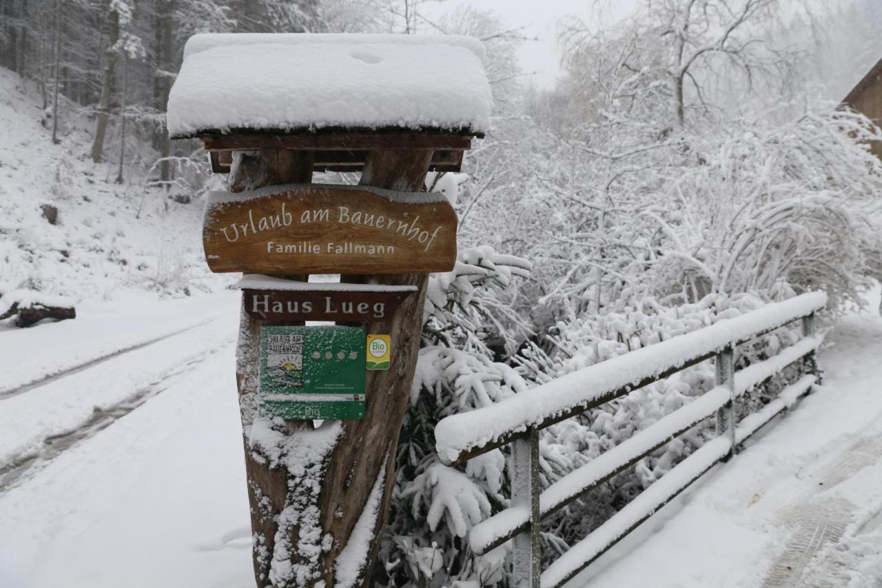 Urlaub Mitten Im Wald - Lueg Scheibbs Exteriér fotografie